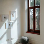 energy efficient window houston tx